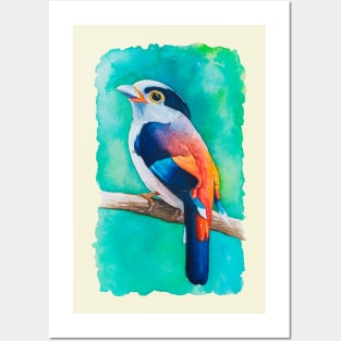 The watercolor bird Posters and Art